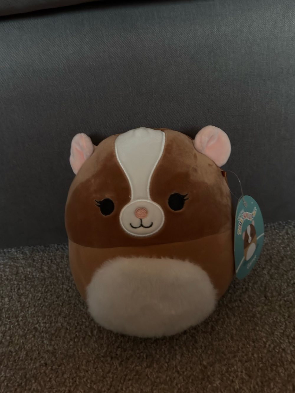 Squishmallow Garret the Guinea Pig